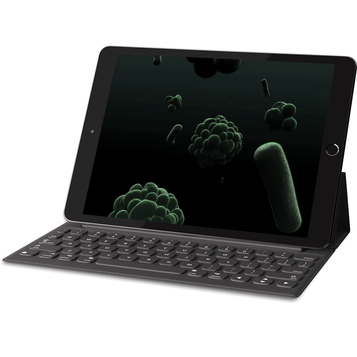 3D-Volumetric-Microorganism-Viewer vision