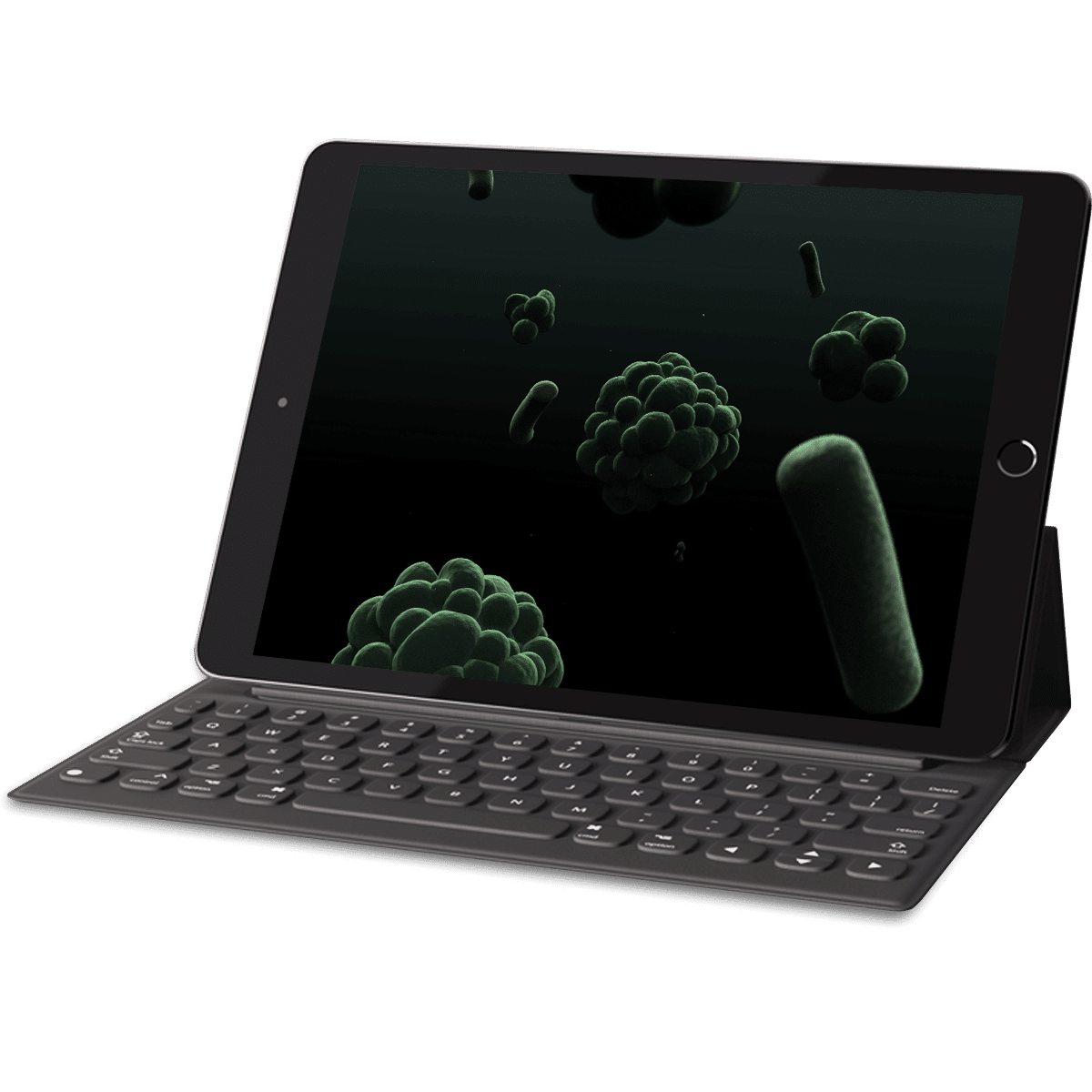 3D-Volumetric-Microorganism-Viewer vision