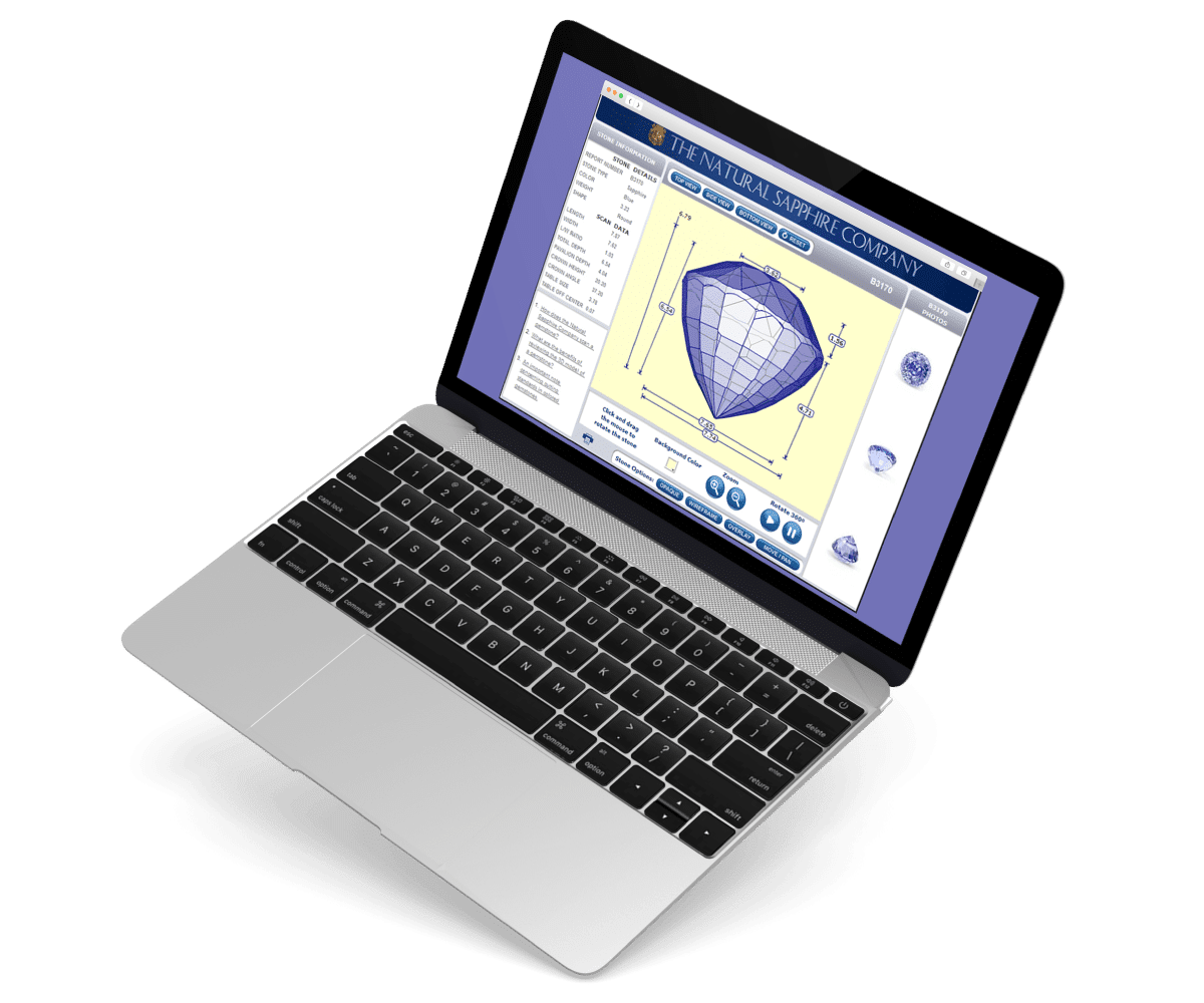 Sapphire-Viewer vision
