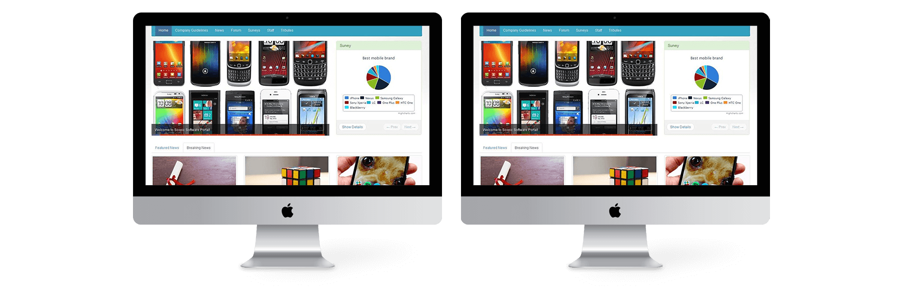 ScopicPortal solution
