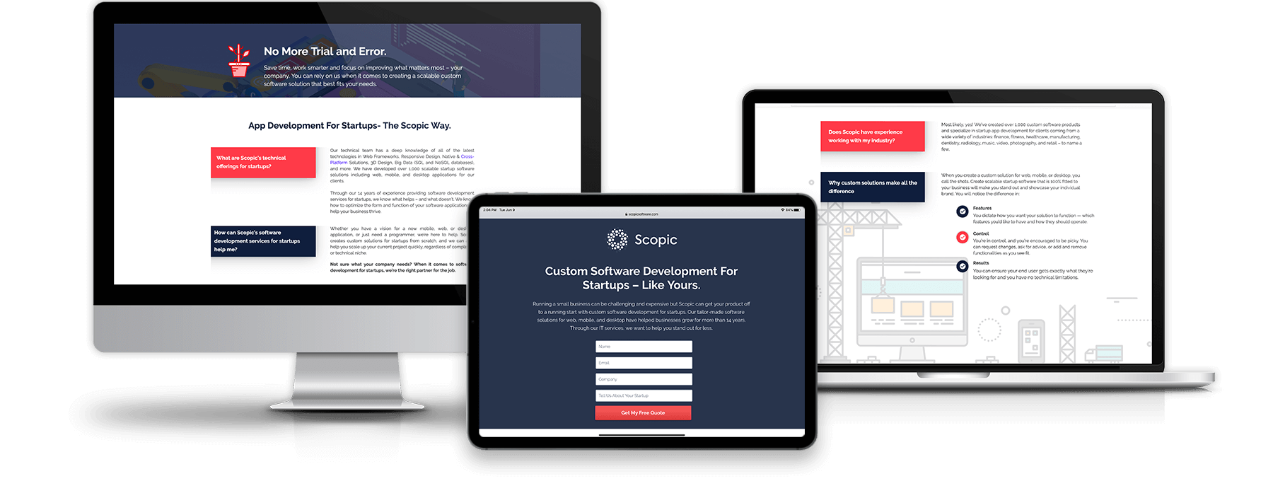 Software-Development-For-Startups solution