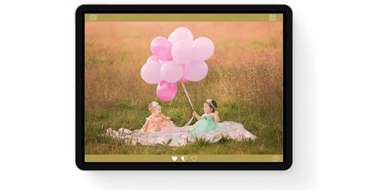 ProofShare-for-Photographers main