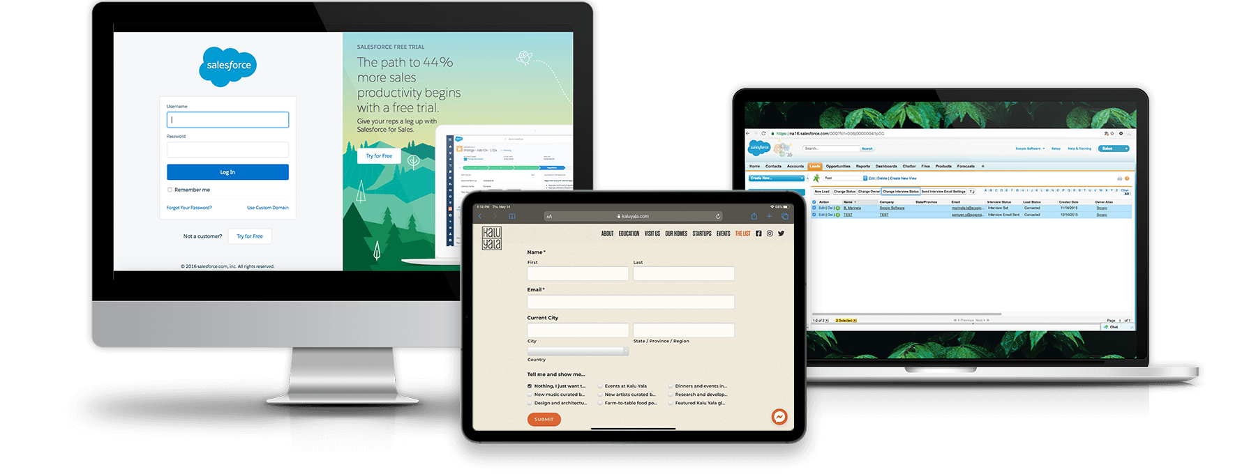 Kalu-Yala-Salesforce solution