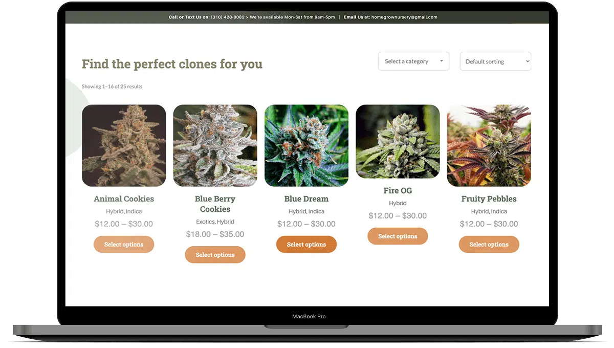 HomeGrownNursery_Scopic_Main homegrown nursey main