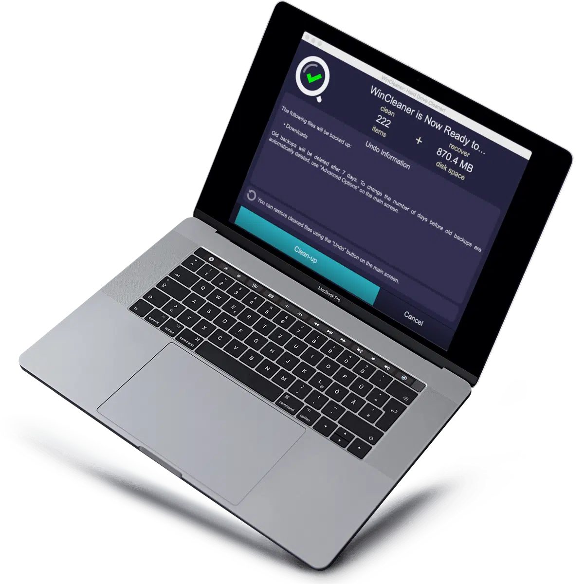 WinCleaner_Scopic_Vision