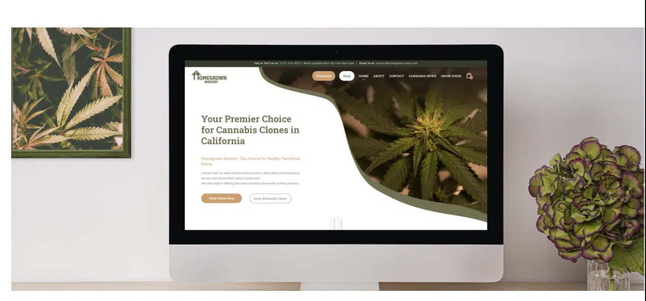 Homegrown Nursery’s 2133% Traffic Boost