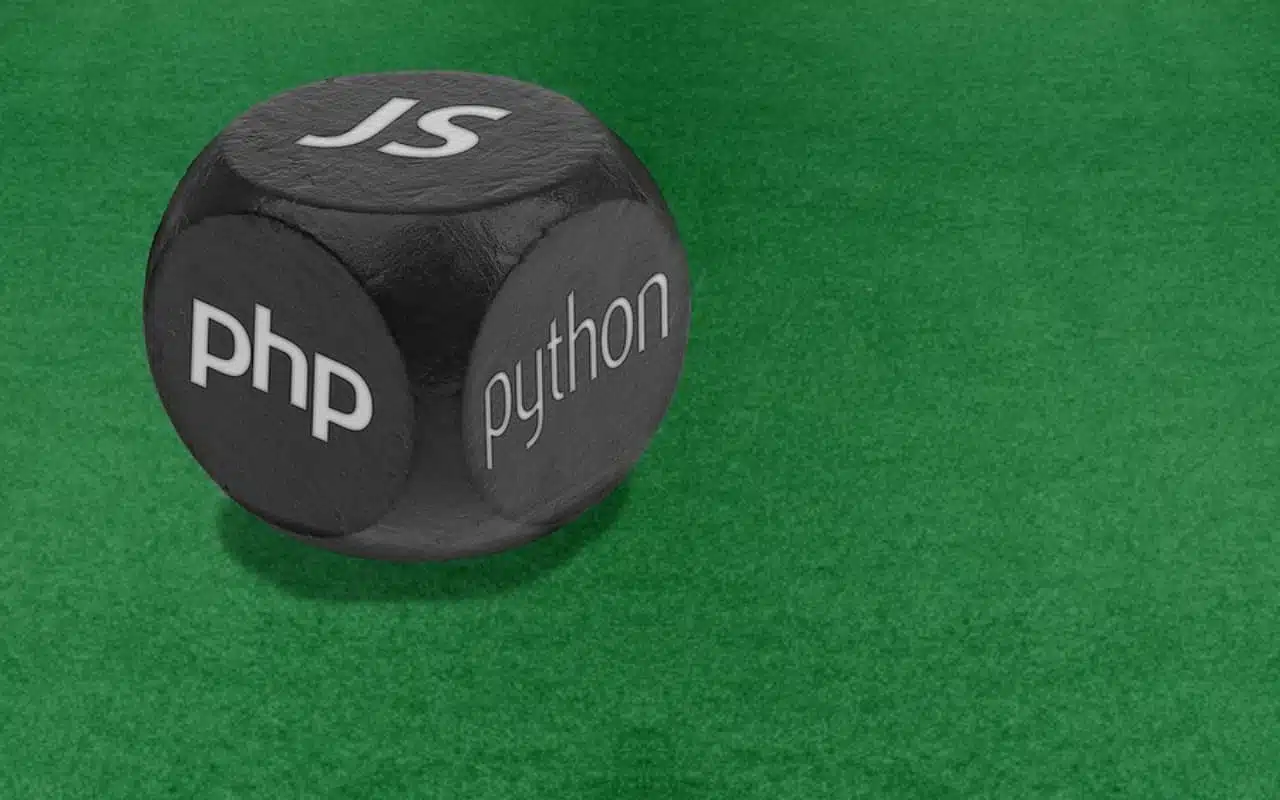 Which is The Best PHP Alternative for Web Projects?
