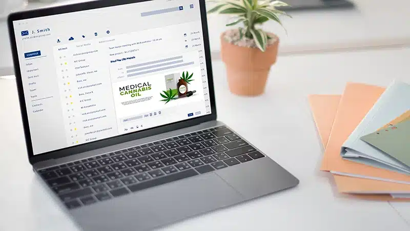 Cannabis Email Marketing: Best Practices & Platforms