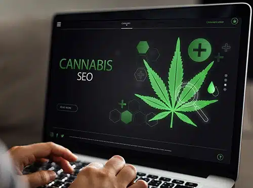 How Powerful Cannabis SEO Services Can Accelerate Your Company’s Success